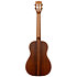 Solid Cedar Top Pau Ferro Bariton Étui Kala