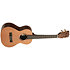 Solid Cedar Top Pau Ferro Tenor Étui Kala