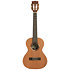 Solid Cedar Top Pau Ferro Tenor Étui Kala