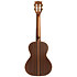 Solid Cedar Top Pau Ferro Tenor Étui Kala