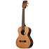 Solid Cedar Top Pau Ferro Tenor Étui Kala
