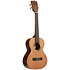 Solid Cedar Top Pau Ferro Tenor Étui Kala