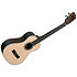 Solid Spruce Solid Ziricote Super Tenor Étui Kala
