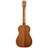 KA-15 Baritone Mahogany Kala
