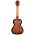 KA RES BRS Resonateur Brass Tenor Housse Kala