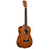 KA-15 Bariton Mahogany + housse Kala