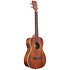 KA-BG Gloss Mahogany Bariton + housse Kala