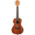 KA-CE Satin Mahogany Concert + housse Kala