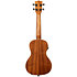 KA-CE Satin Mahogany Concert + housse Kala