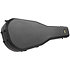 SGR-13AC Acoustic Hardcase Schecter