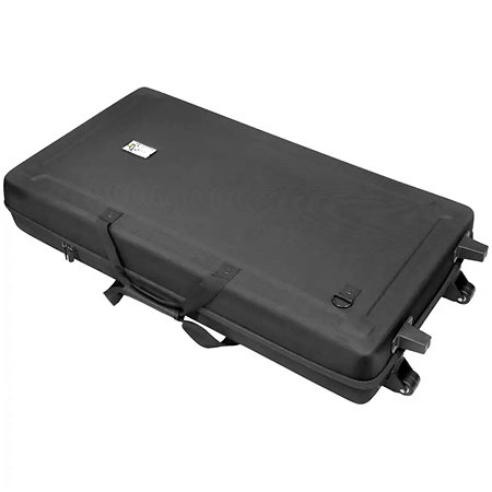 XDJ-AZ + Eva Case Wheel Pioneer DJ
