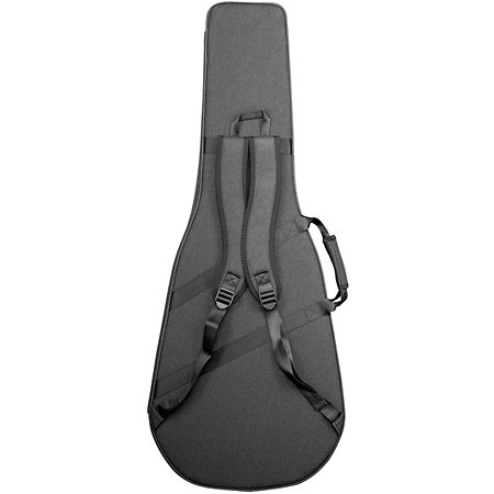 SH500A Guitare Nex Takamine