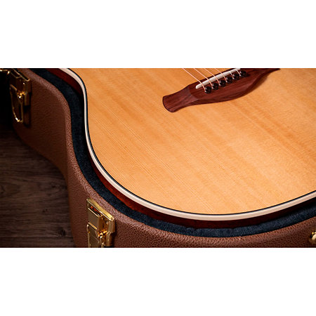 Taylor Gold Label 517e + Etui