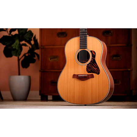 Gold Label 517e + Etui Taylor