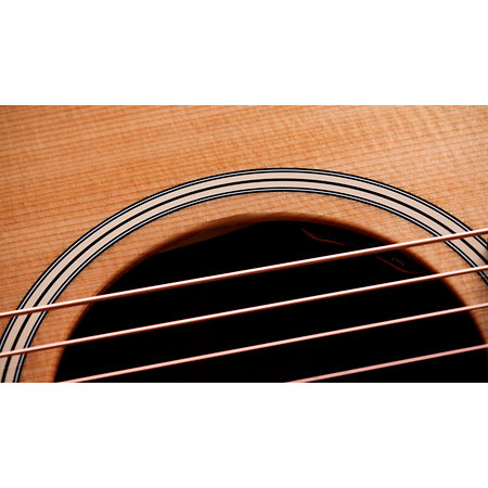 Gold Label 517e + Etui Taylor