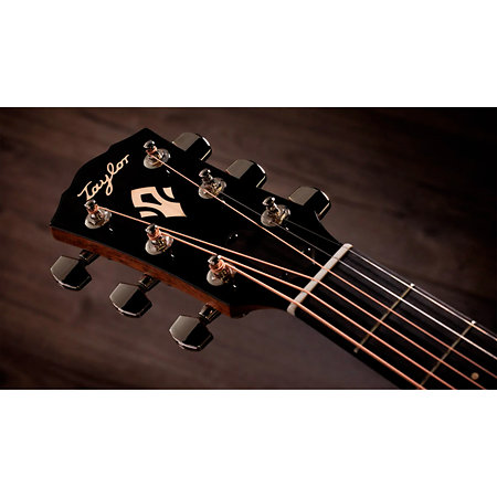 Gold Label 517e + Etui Taylor