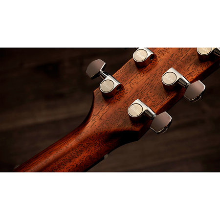Gold Label 517e + Etui Taylor