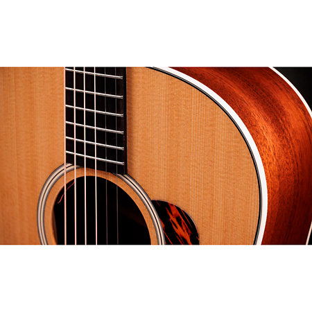 Gold Label 517e + Etui Taylor