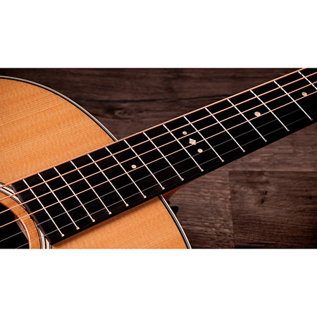 Gold Label 517e + Etui Taylor
