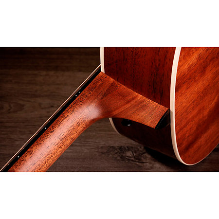 Gold Label 517e + Etui Taylor