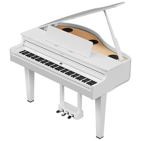 GP6 White Roland