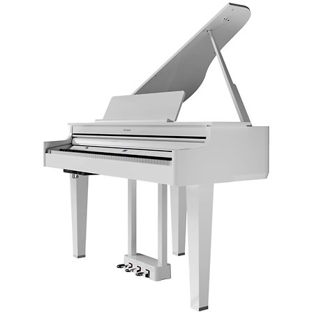 GP6 White Roland