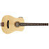 AG-105 EQ Traveler
