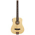 AG-105 EQ Traveler