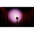 ACT Fresnel 50 RGBAL Showtec