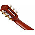 FRH20SMN-TCL Tobacco Burst Low Gloss Ibanez
