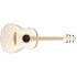 AAM370E-OAW Advanced Acoustic Open Pore Antique White Ibanez
