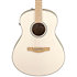AAM370E-OAW Advanced Acoustic Open Pore Antique White Ibanez