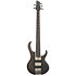 BTB605-TGF Transparent Gray Flat Ibanez