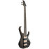 BTB605-TGF Transparent Gray Flat Ibanez