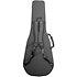 SH500A Guitare Nex Takamine