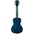 Blue Exotic Mahogany Concert Kala