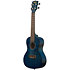 Blue Exotic Mahogany Concert Kala