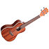 Gloss Mahogany Concert Kala