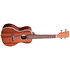 Gloss Mahogany Concert Kala