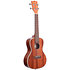 Gloss Mahogany Concert Kala