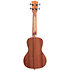 Gloss Mahogany Concert Kala