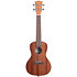 Gloss Mahogany Concert Kala