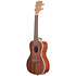 Gloss Mahogany Concert Kala