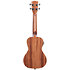 Gloss Mahogany Concert électro acoustique EQ Kala