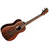Striped Ebony Bariton Kala