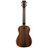 Striped Ebony Bariton Kala