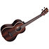 Striped Ebony Tenor Kala