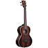 Striped Ebony Tenor Kala