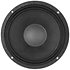 10HPL64 16 Ohm TWP B&C Speakers