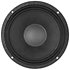 10HPL64 16 Ohm WP B&C Speakers